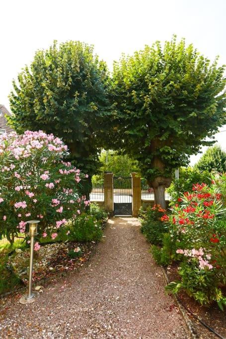 F3 80 M2 Longere Plain Pied Au Centre Auxonne. Villa Dış mekan fotoğraf
