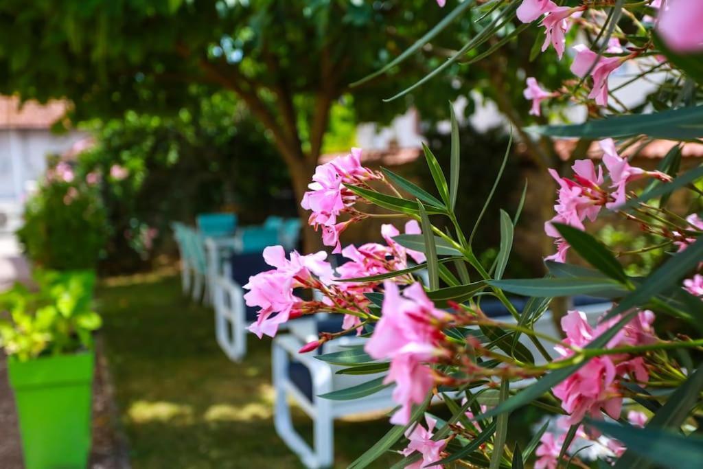 F3 80 M2 Longere Plain Pied Au Centre Auxonne. Villa Dış mekan fotoğraf